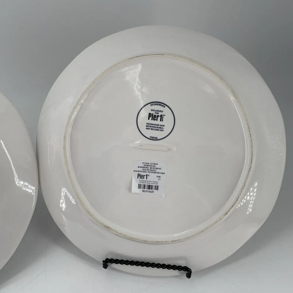 NWT Pier 1 Buffalo Harvest Pumpkin Dinner Plates Set Of 2 Black & White 10.5